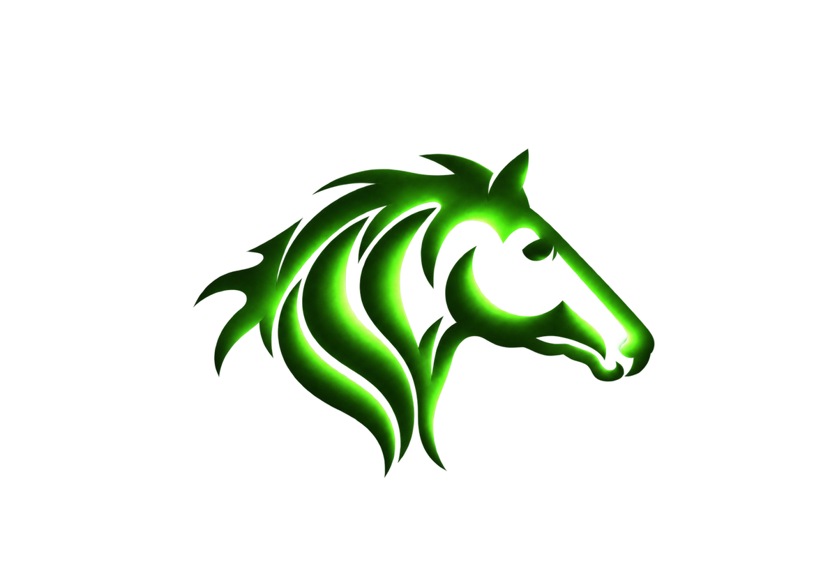 Night Vision